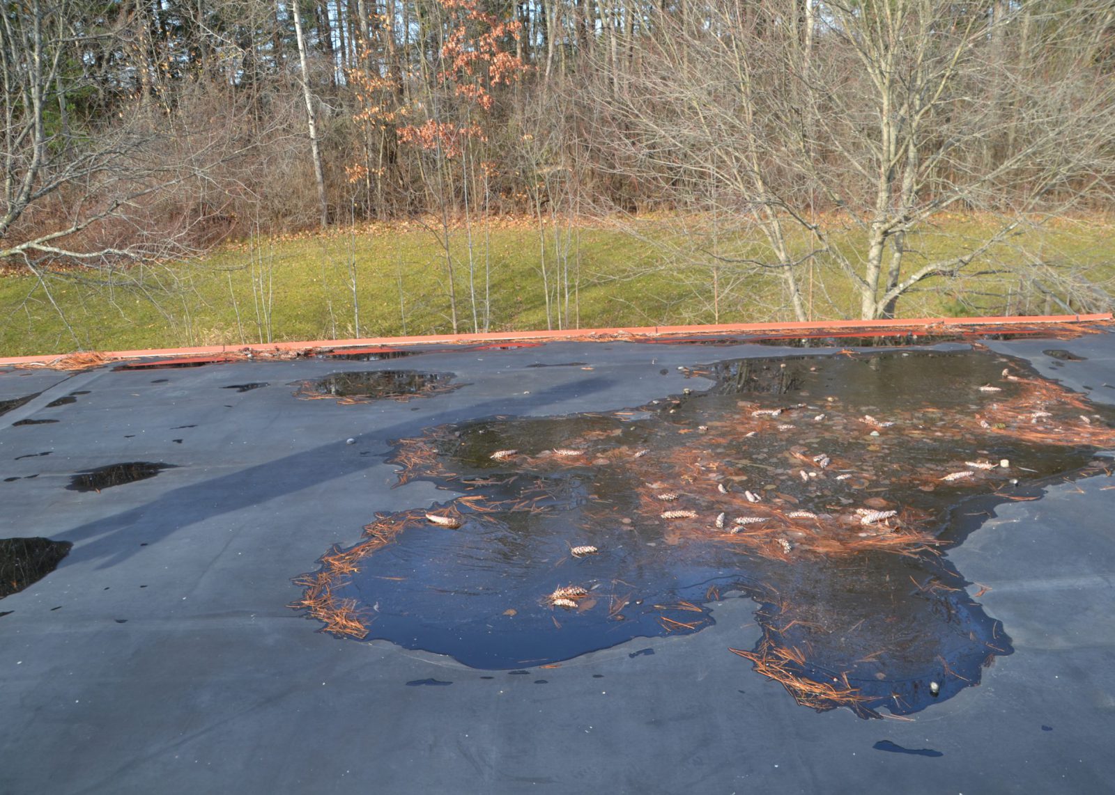 Water on the Rosendale roof