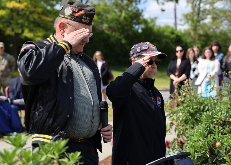 Two veterans saluting