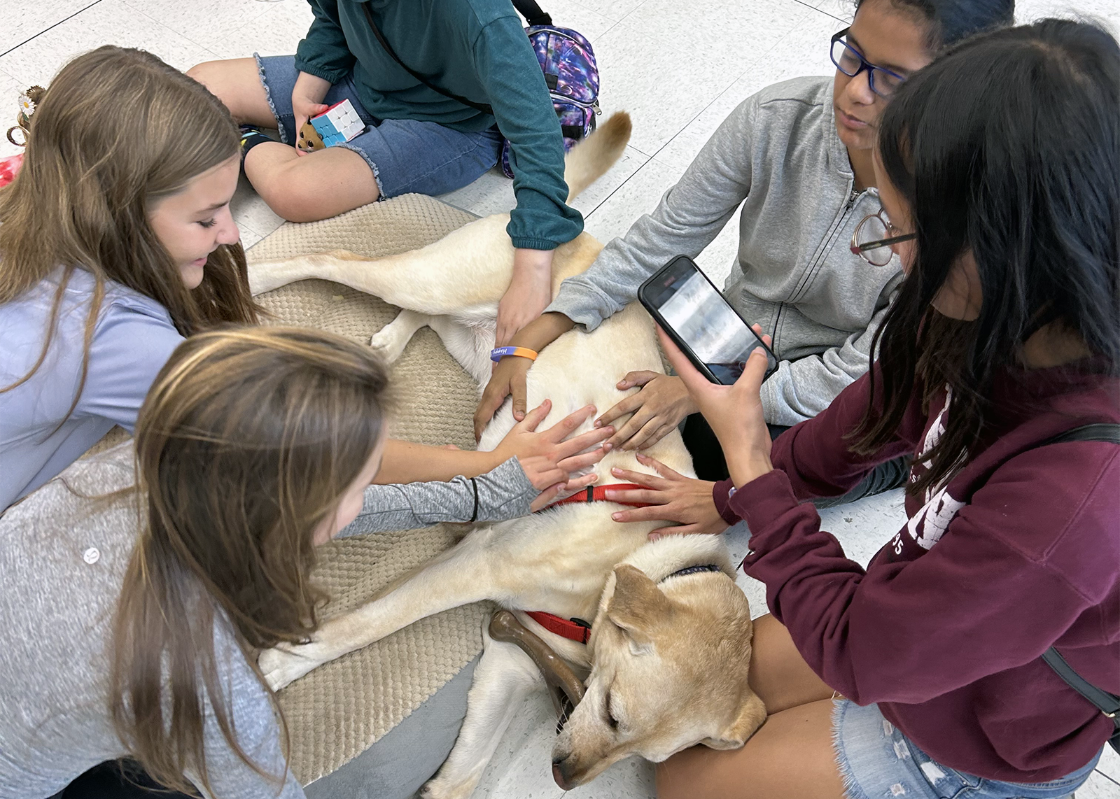 student pet a therapy dog