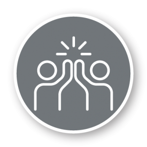 Niskayuna environment and culture strategic plan logo