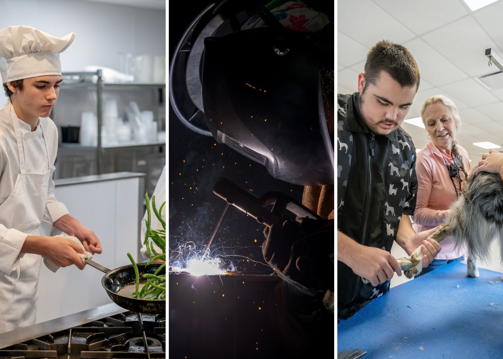 nisky students enjoy BOCES programs in culinary, welding and pet tech