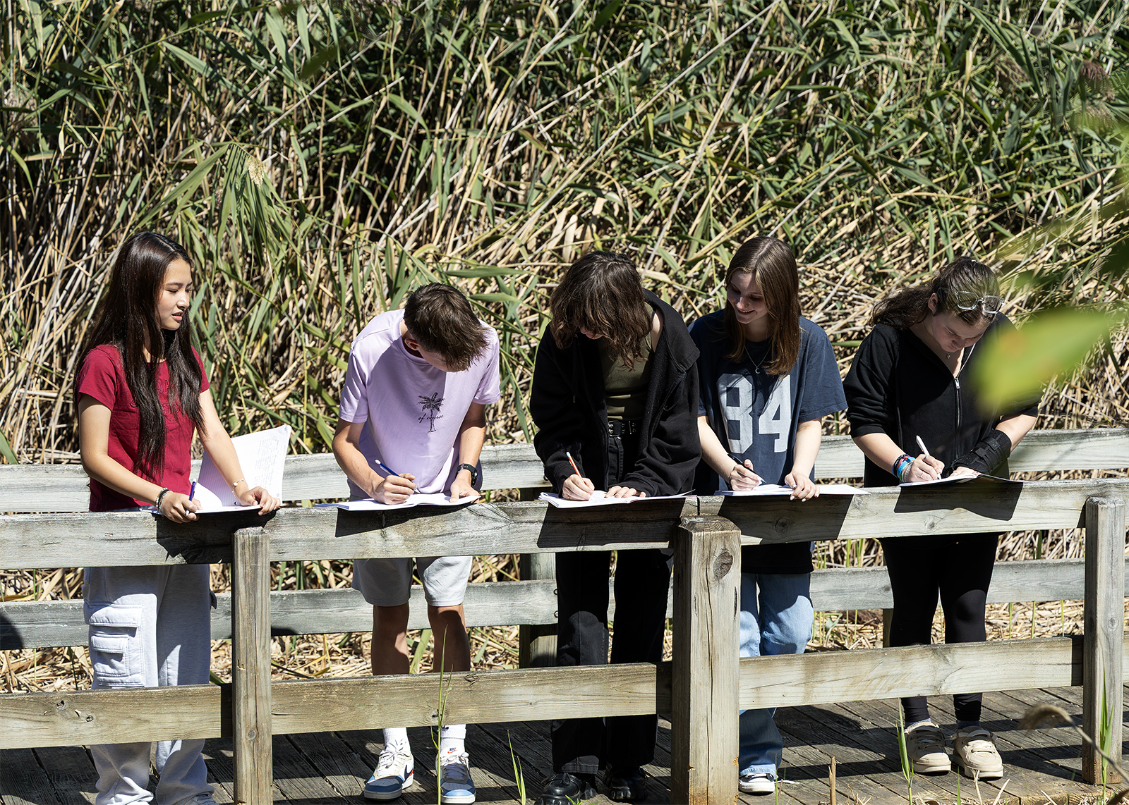 students in Grade 10 biology collect data at a nature preserve