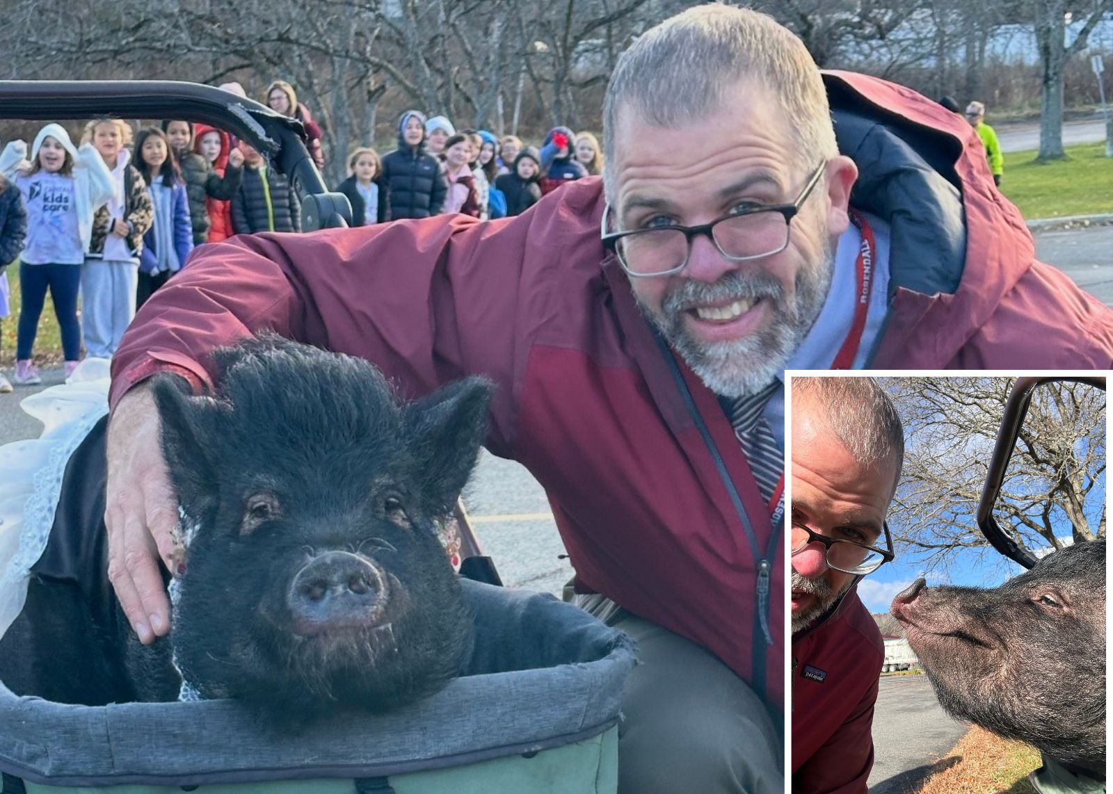 school principal with a pig
